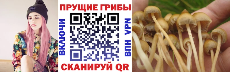 мега ССЫЛКА  Талдом  Галлюциногенные грибы ЛСД  сколько стоит 